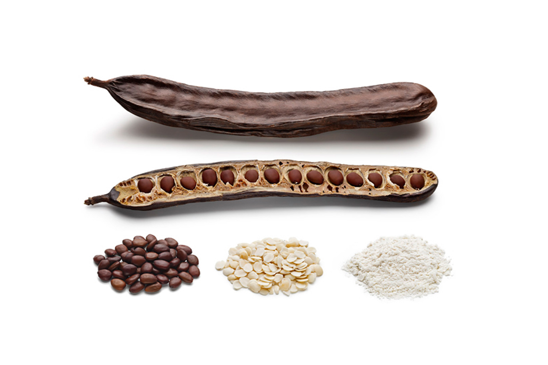 INEC Locust bean gum